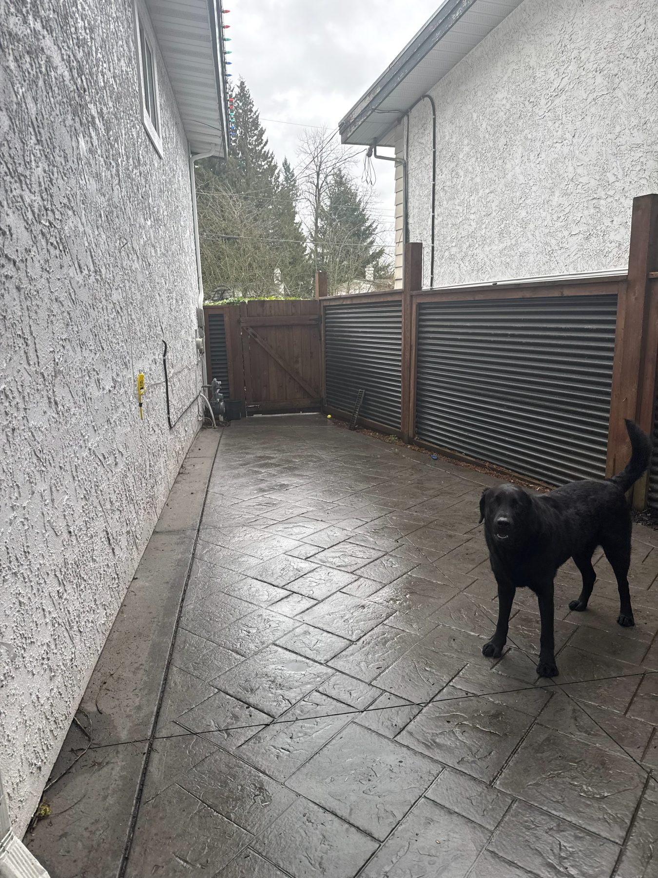 Real residential concrete project photo from a Lower Mainland job site